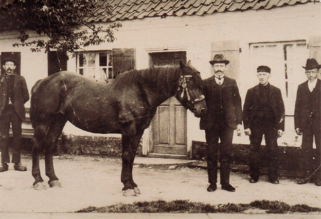 Even-op-de-foto-voor het nieuwe-paard.gif