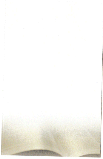 Truus-Koenen-1950-2014-a.gif