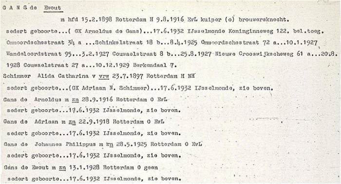 De-Gans-Schimmer-700.gif