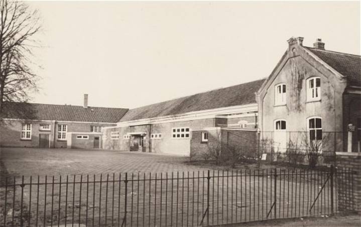 lisidunasch-1